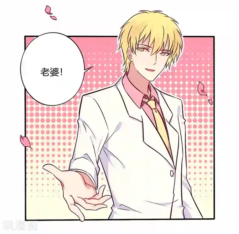 一夜豪门：总裁我已婚最终话 婚礼！请幸福！