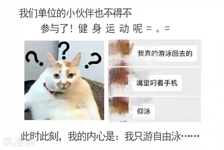 不良宠婚7月13日停更通知