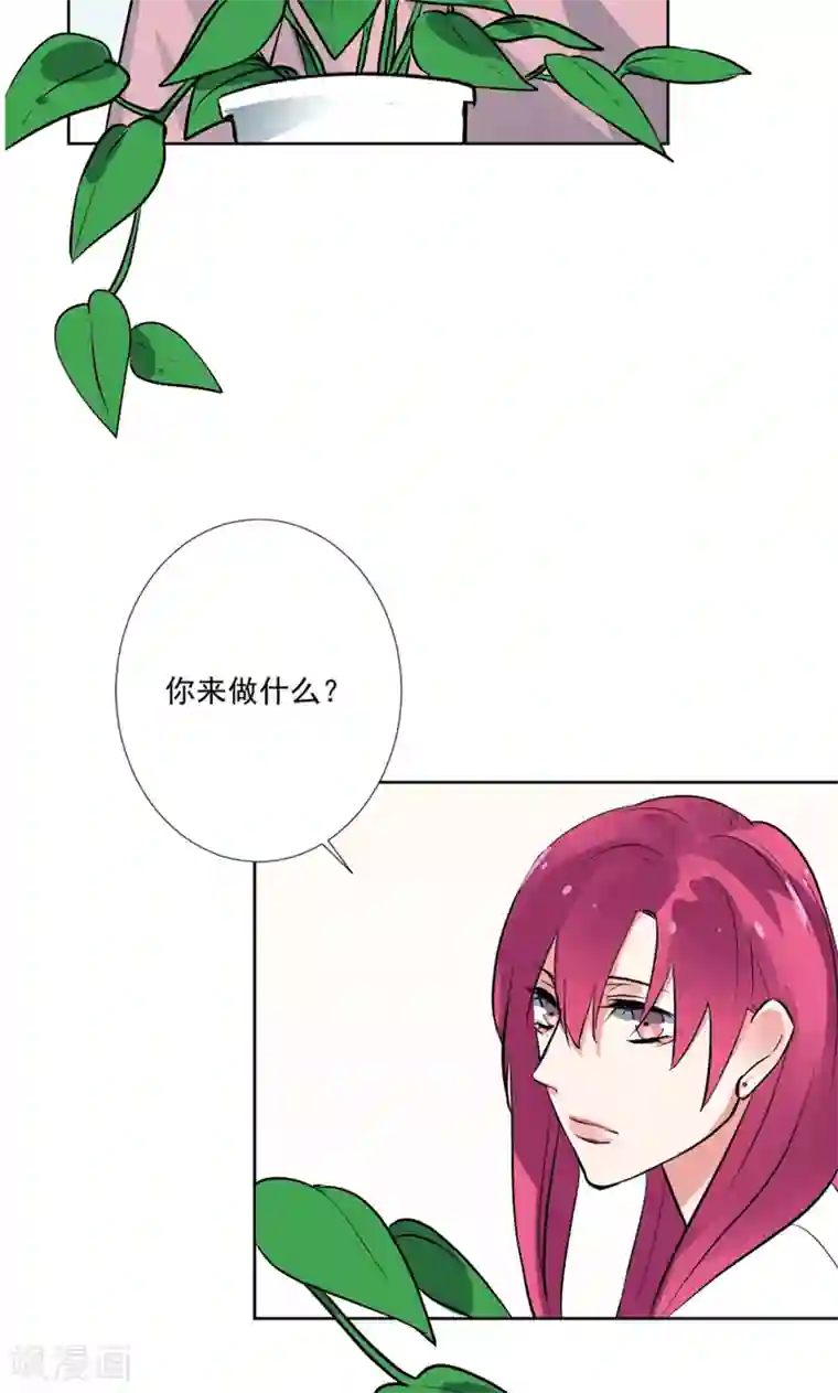 极品傲娇妻番外4