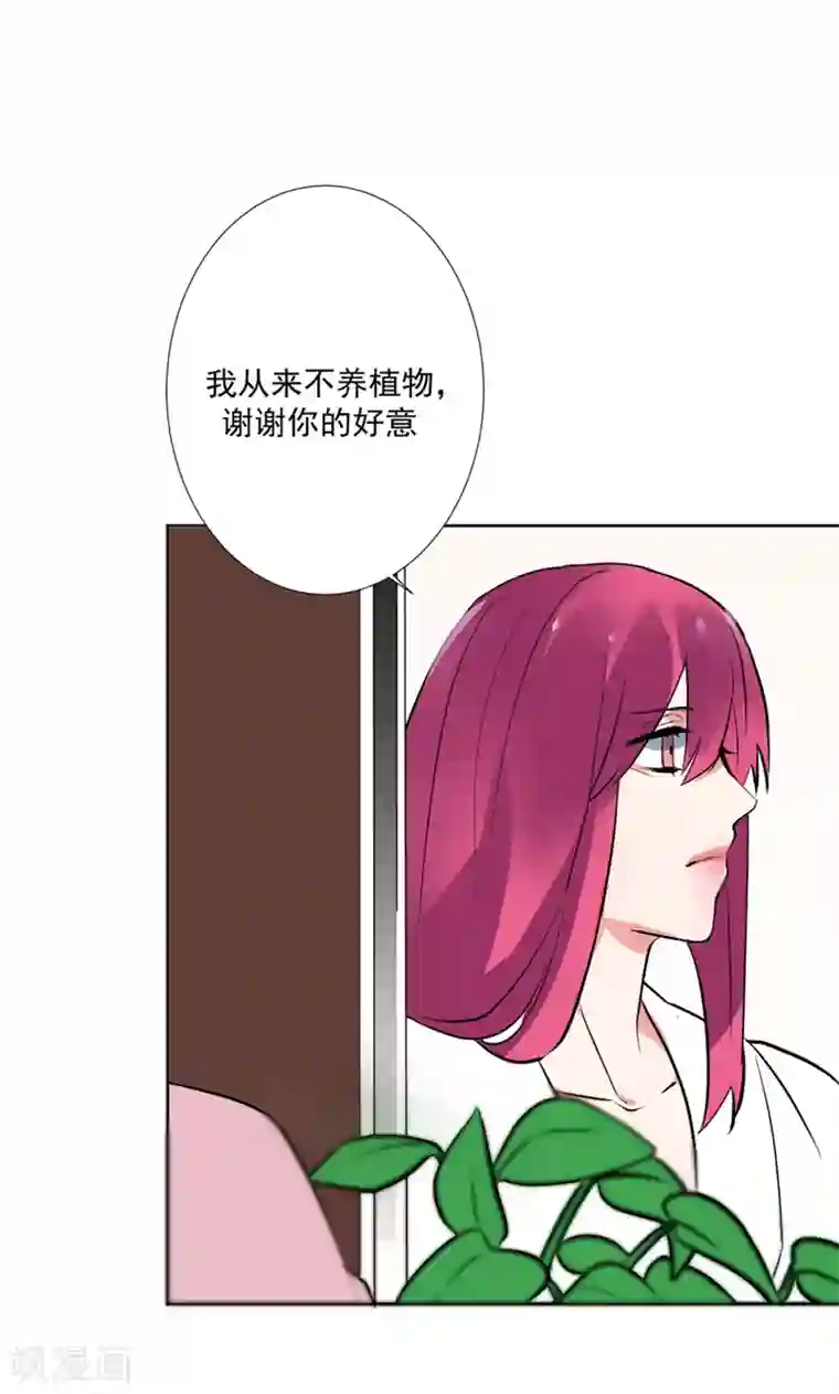 极品傲娇妻番外4