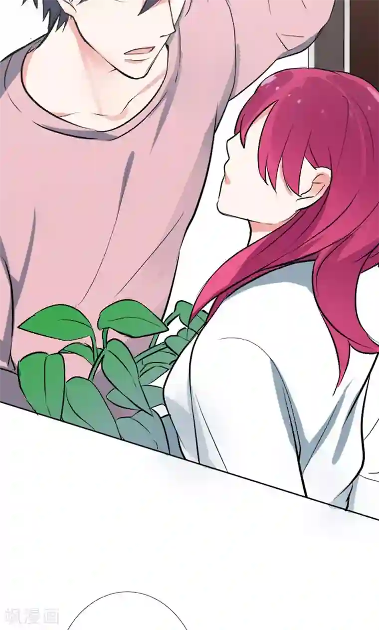 极品傲娇妻番外4