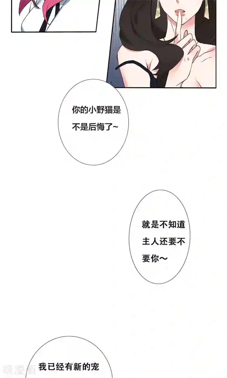 极品傲娇妻番外4