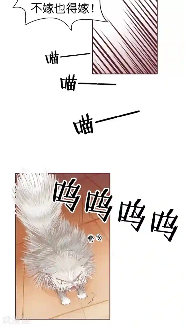 撩妻狂魔：傲娇boss来pk第3话 二当家的