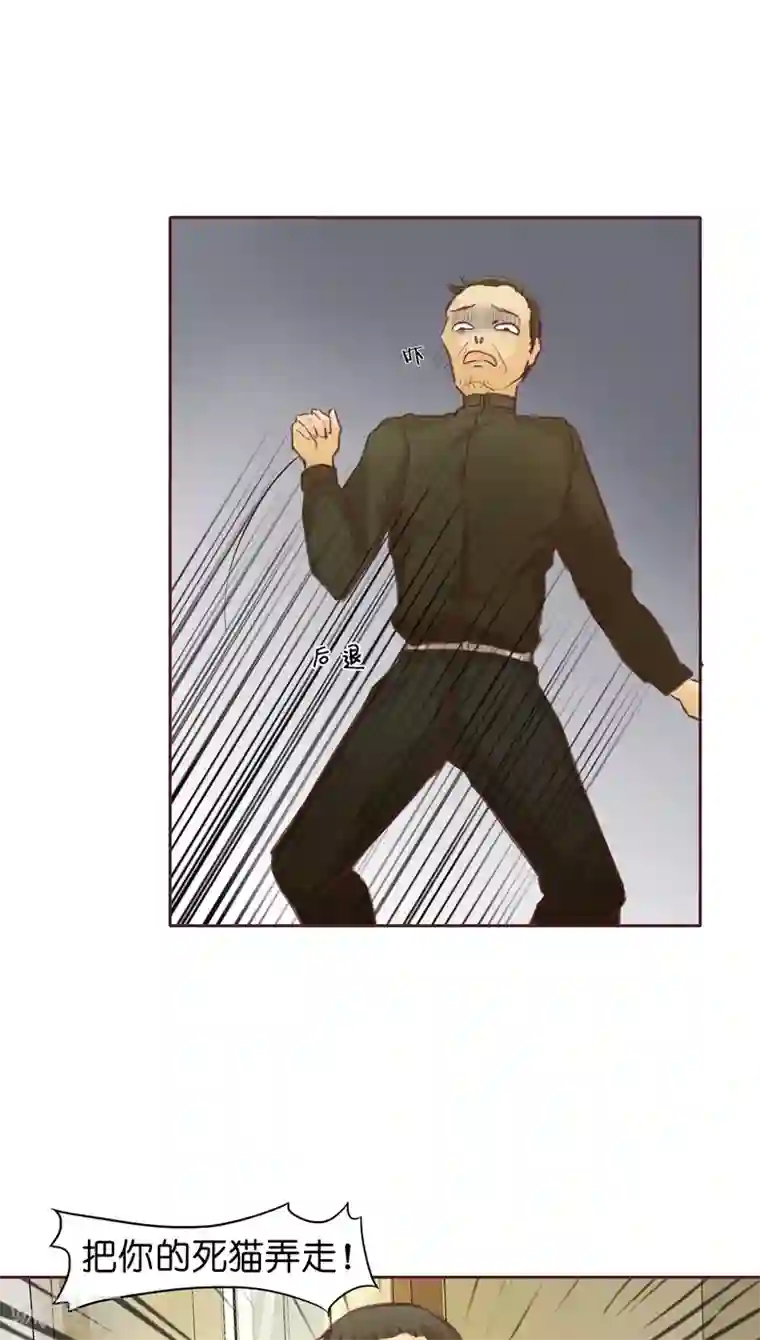 撩妻狂魔：傲娇boss来pk第3话 二当家的