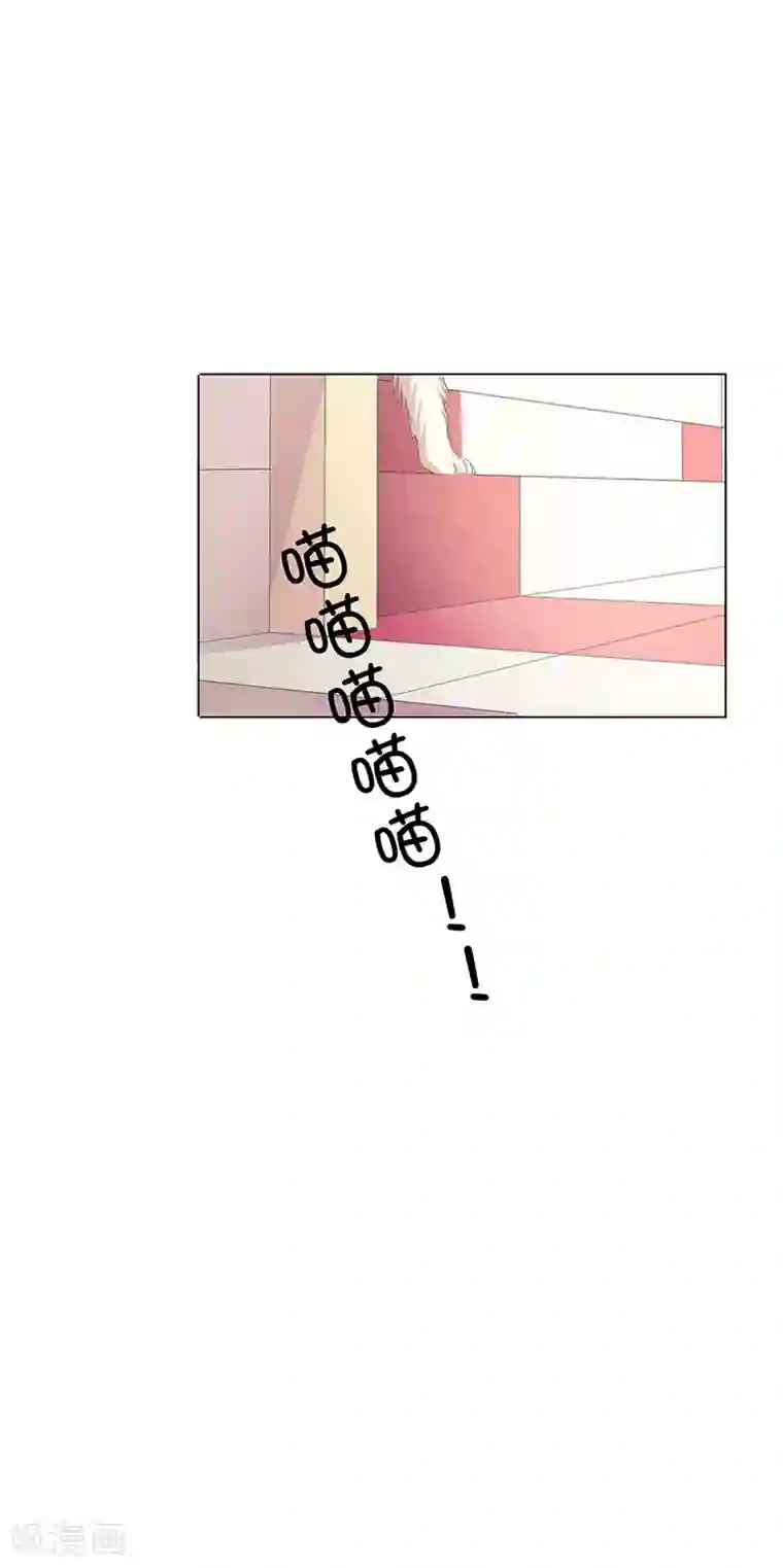 撩妻狂魔：傲娇boss来pk第33话 我被他盯上了