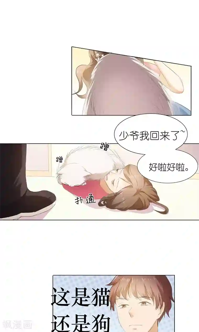 撩妻狂魔：傲娇boss来pk第34话 不就跳个墙吗！