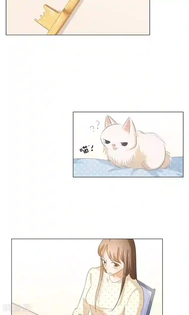 撩妻狂魔：傲娇boss来pk第48话 订婚快乐