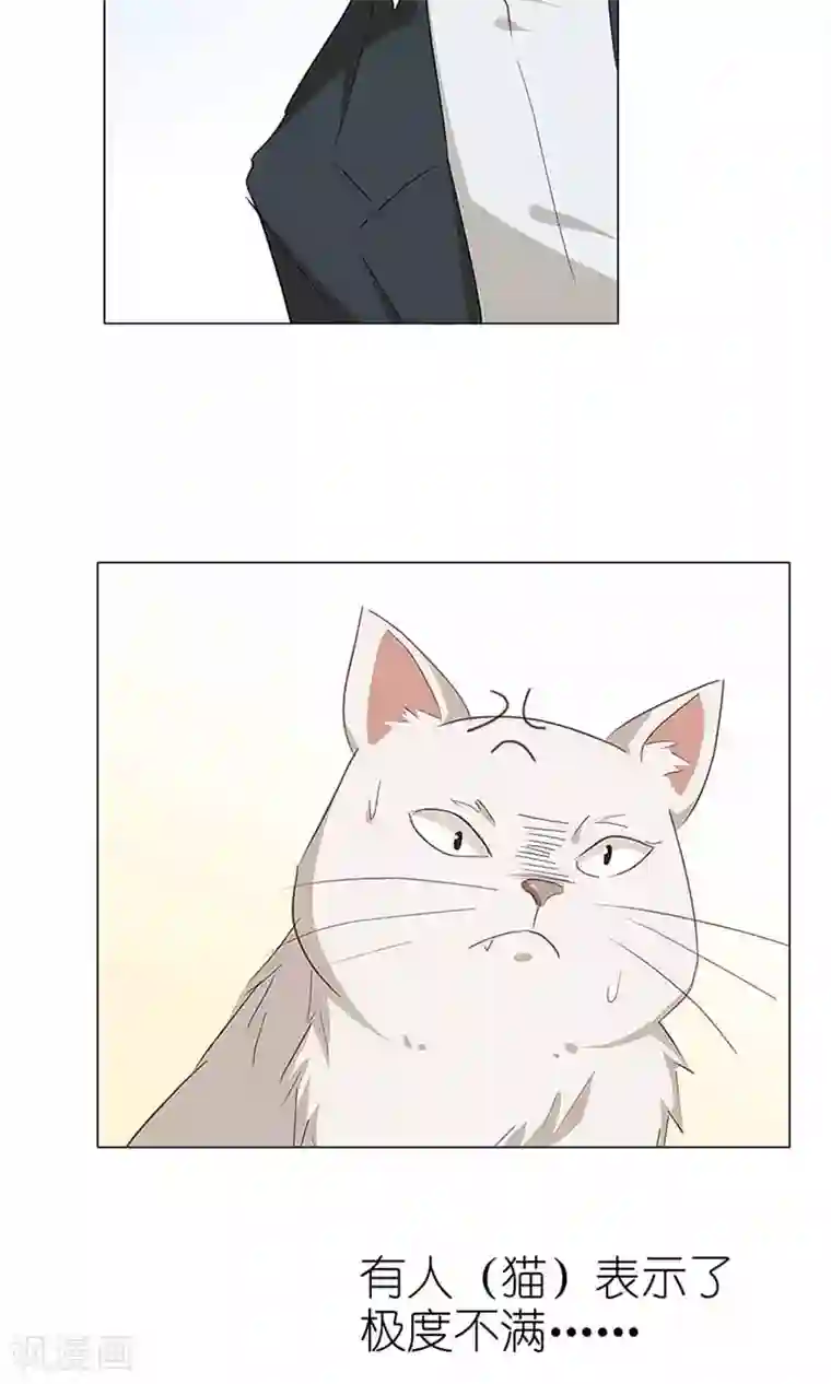 撩妻狂魔：傲娇boss来pk第52话 美好的故事