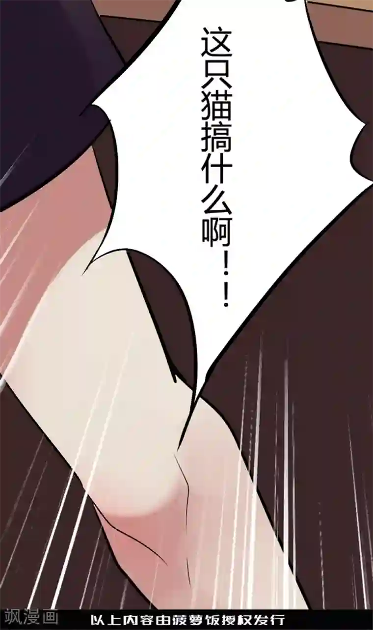 耽美诡谈第10话 猫的报恩(2)