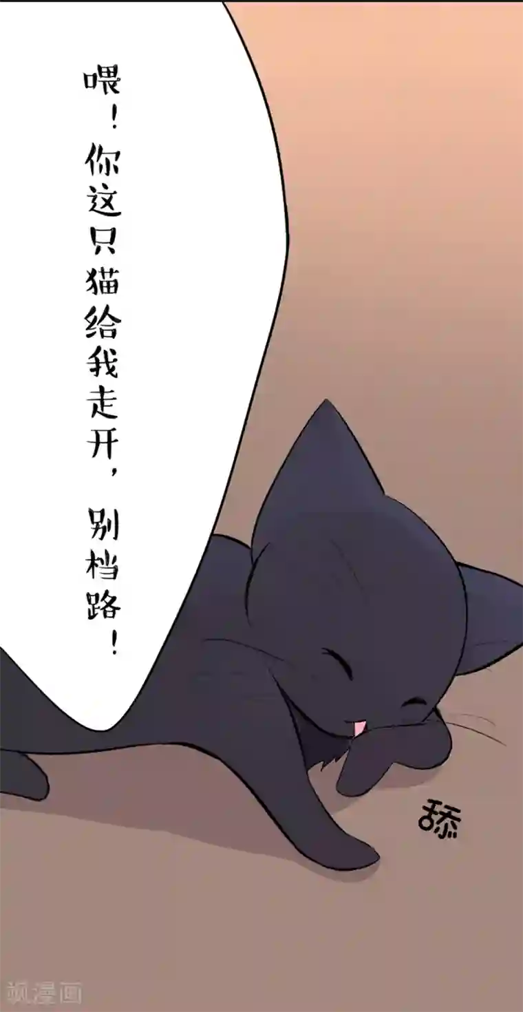 耽美诡谈第11话 猫的报恩(3)