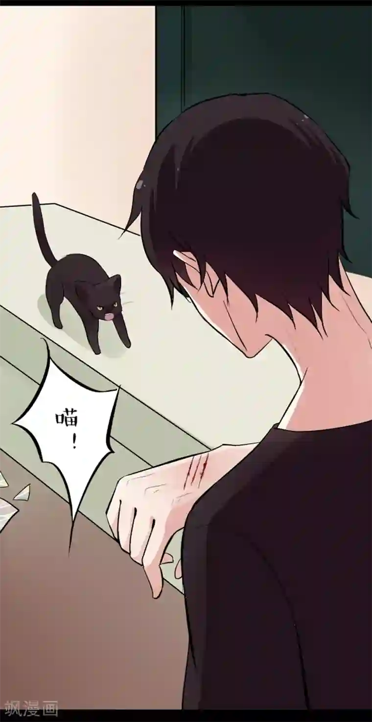 耽美诡谈第11话 猫的报恩(3)