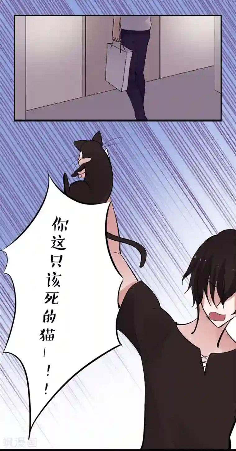 耽美诡谈第11话 猫的报恩(3)