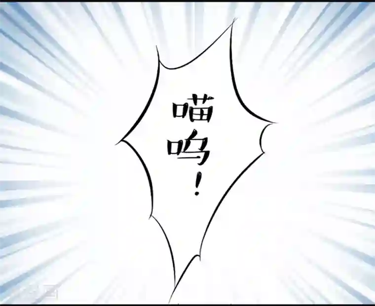 耽美诡谈第11话 猫的报恩(3)