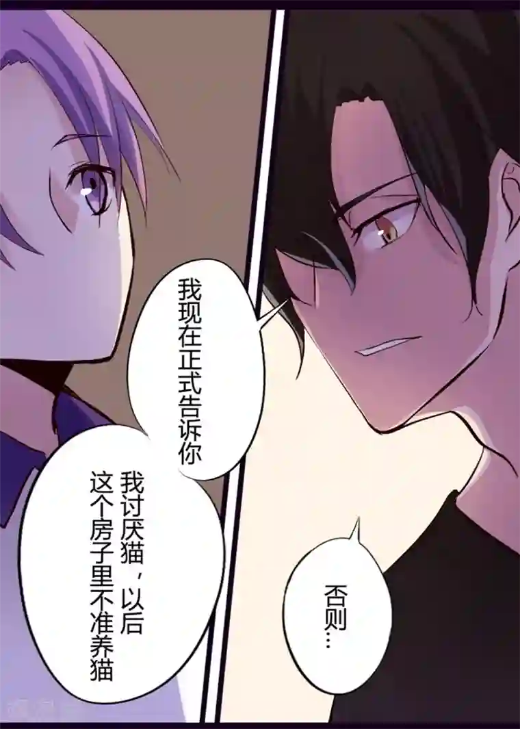 耽美诡谈第12话 猫的报恩(4)