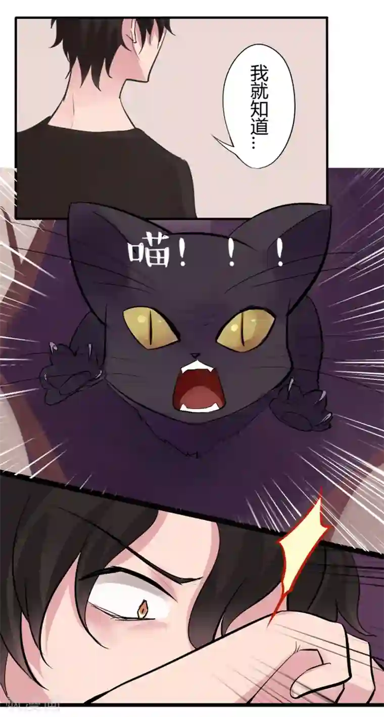 耽美诡谈第14话 猫的报恩(6)
