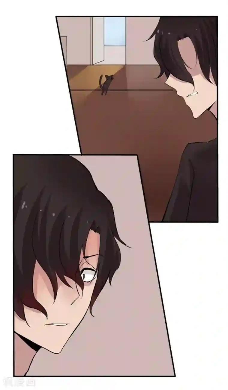 耽美诡谈第14话 猫的报恩(6)