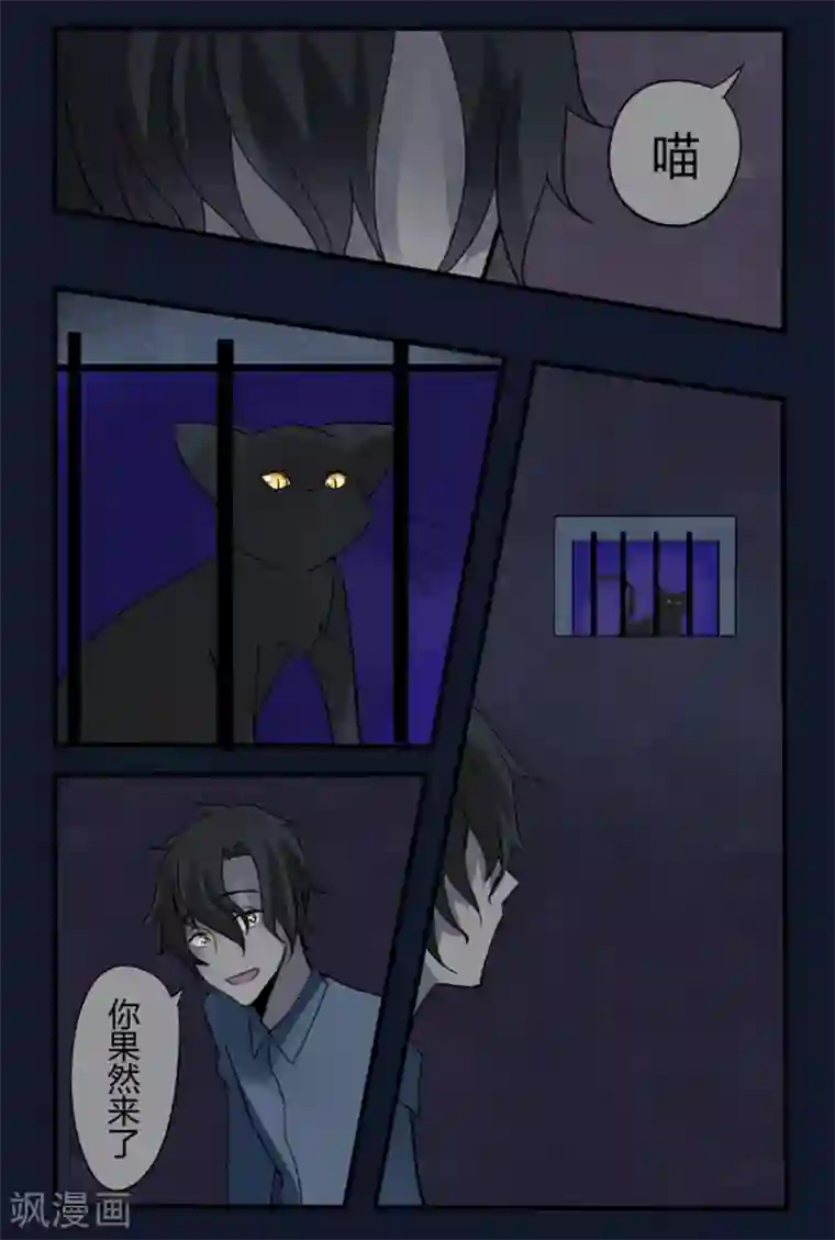 耽美诡谈第15话 猫的报恩(7)