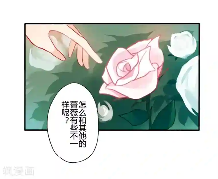 耽美诡谈第20话 花儿与少年(1)