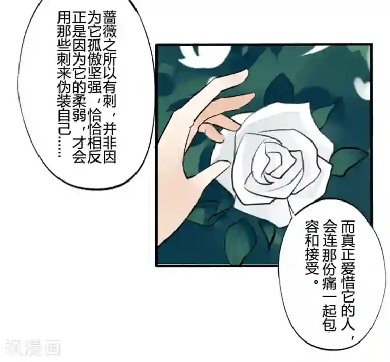 耽美诡谈第20话 花儿与少年(1)