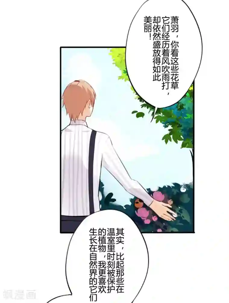 耽美诡谈第20话 花儿与少年(1)