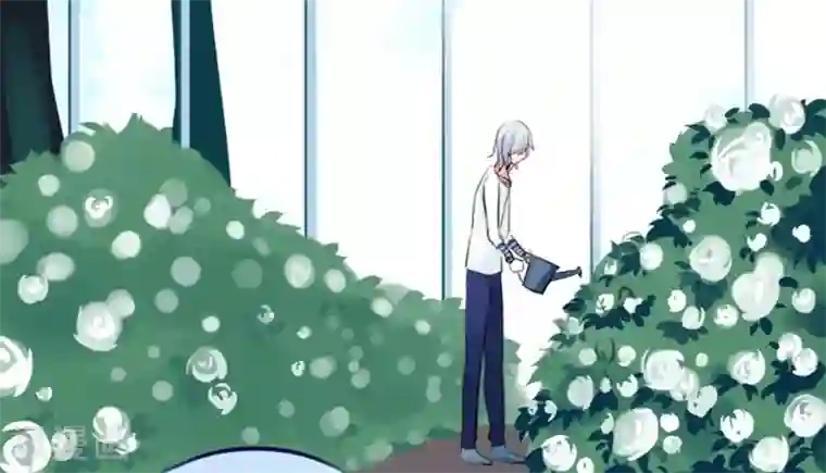 耽美诡谈第20话 花儿与少年(1)