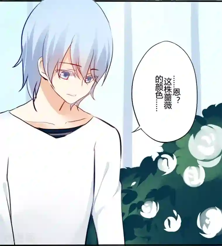 耽美诡谈第20话 花儿与少年(1)