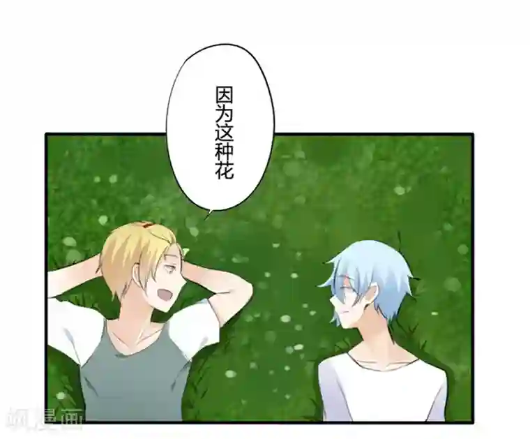 耽美诡谈第21话 花儿与少年(2)