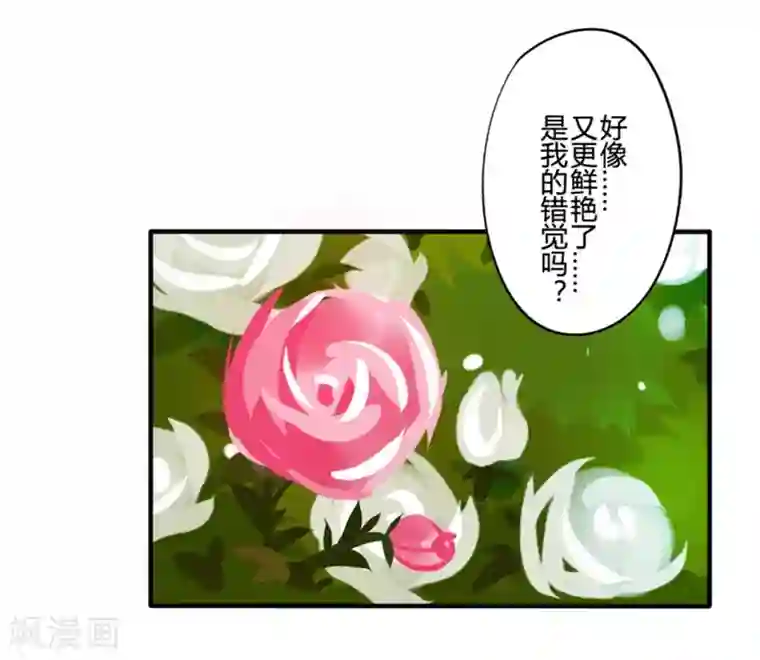 耽美诡谈第21话 花儿与少年(2)