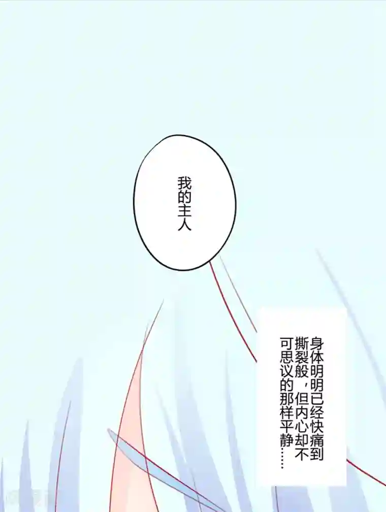 耽美诡谈第22话 花儿与少年(3)