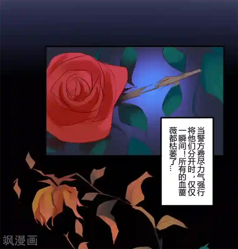 耽美诡谈第23话 花儿与少年(4)