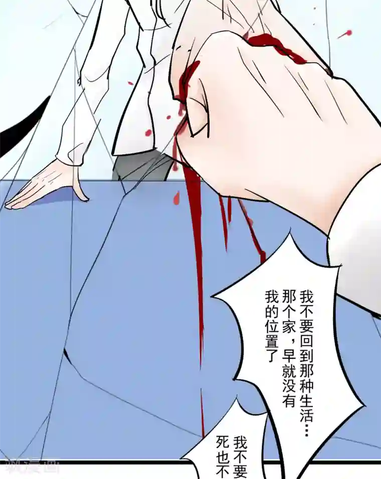 耽美诡谈第36话 第二季辛德瑞拉(4)