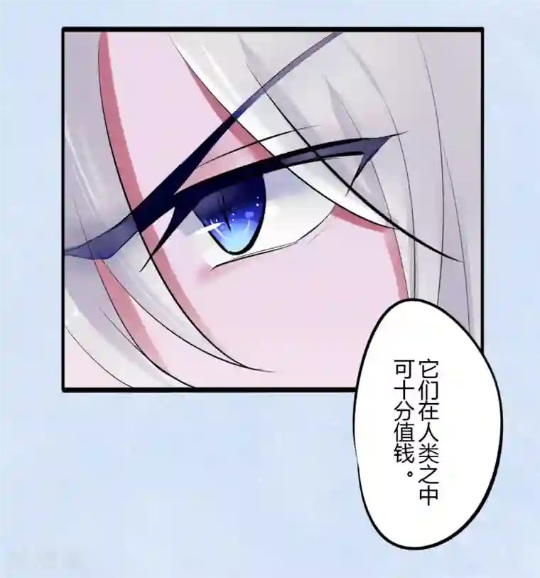 耽美诡谈第44话 第二季血红帽(7)