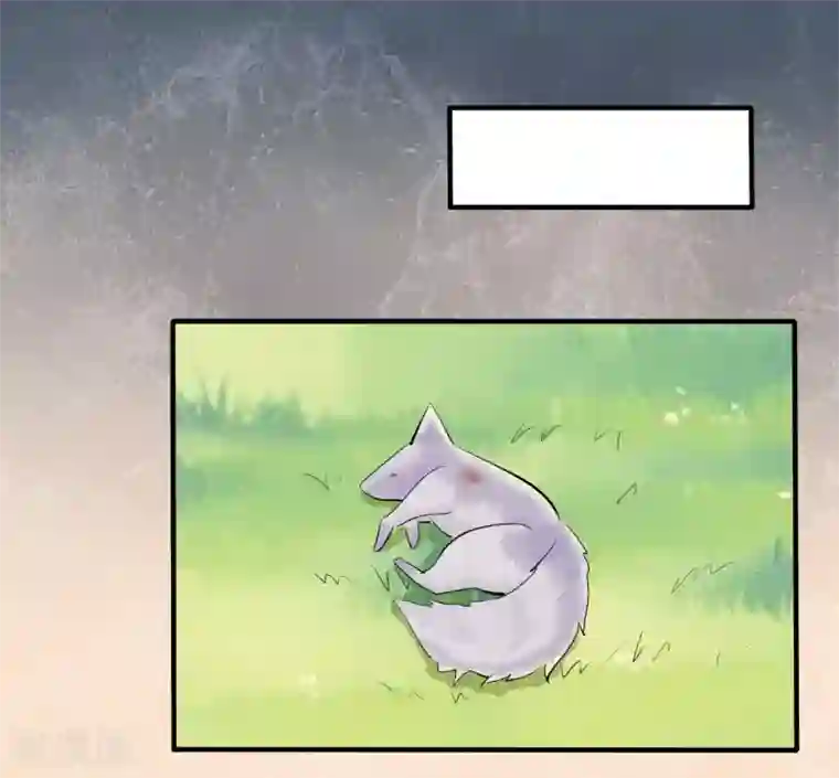 耽美诡谈第45话 第二季血红帽(8)