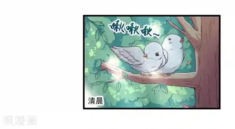 猎杀狼性总裁第19话 花样作死