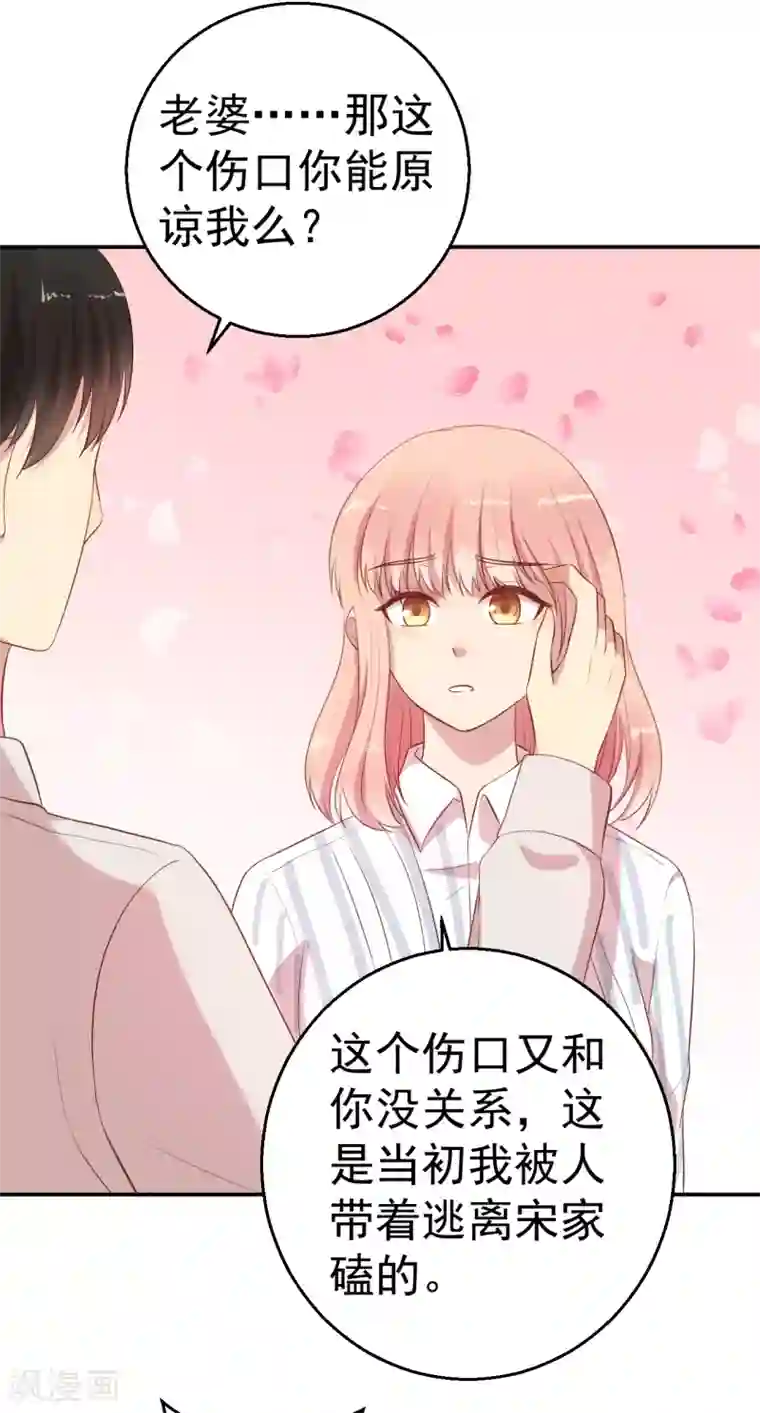 猎杀狼性总裁第65话 老婆，你能原谅我吗？