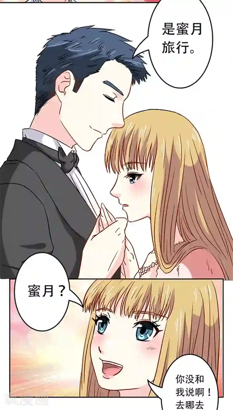 心机总裁是替身第11话