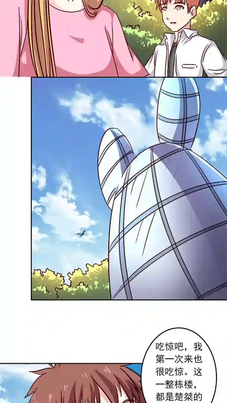 心机总裁是替身第26话