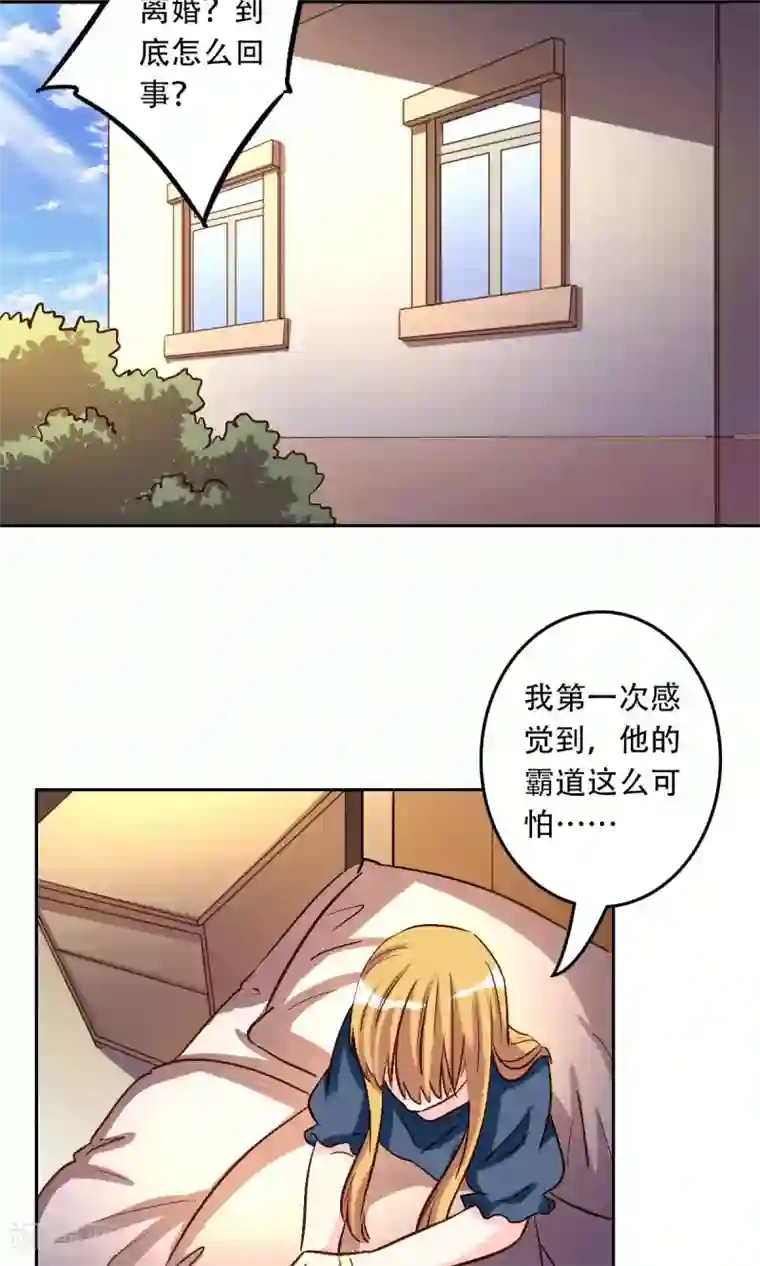 心机总裁是替身第55话