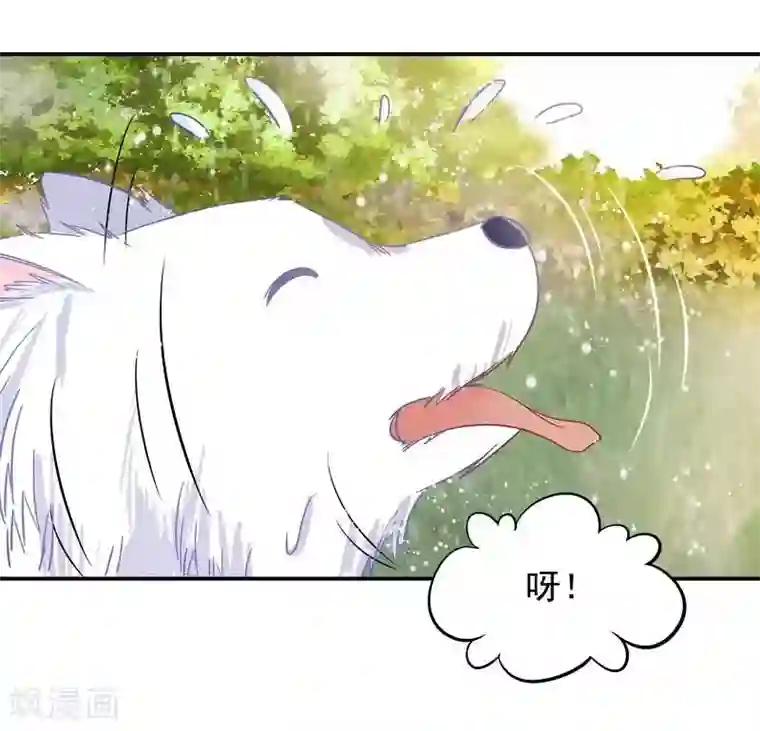 雪色撩人第41话 真·虐狗！