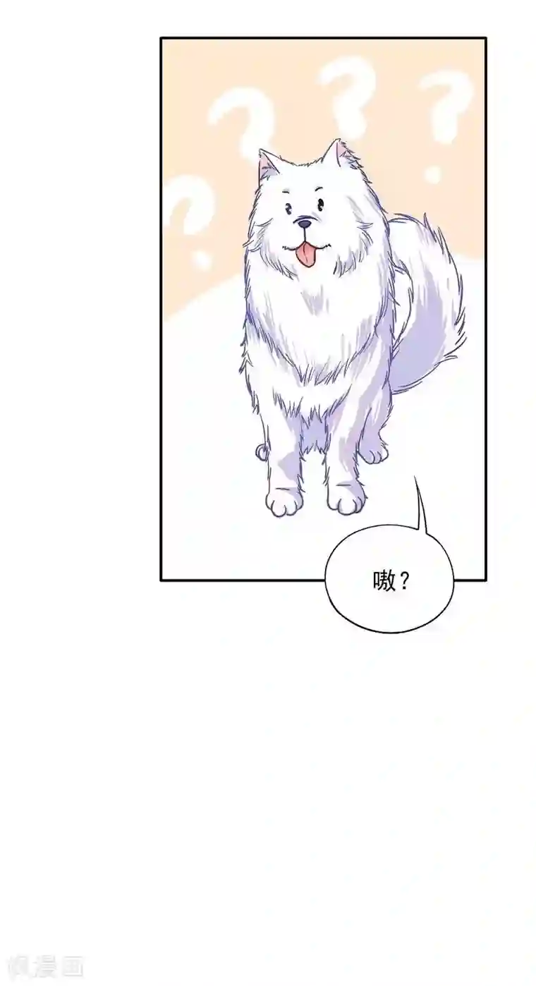 雪色撩人第41话 真·虐狗！