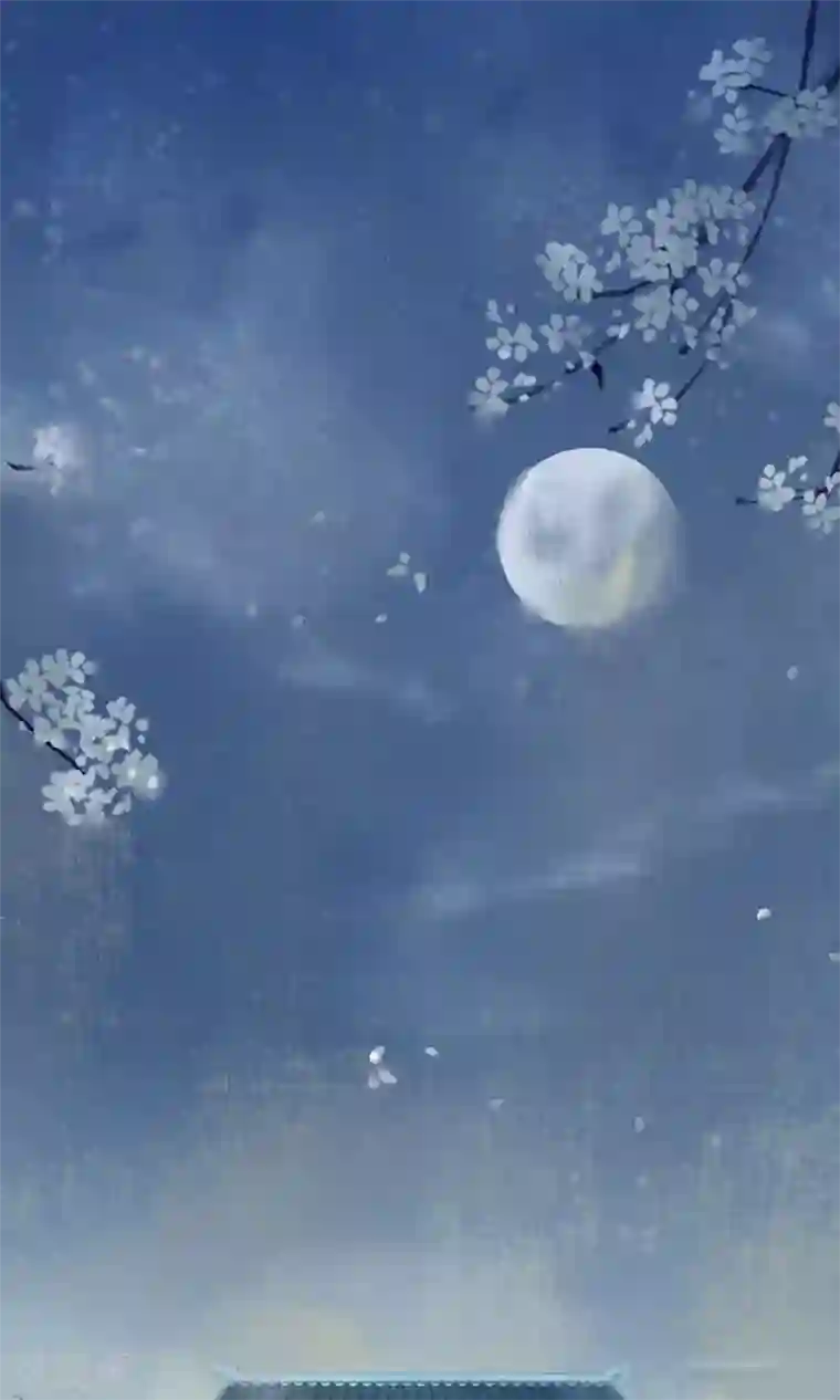 乌龟公主撩夫之路第2话 洞房花烛夜