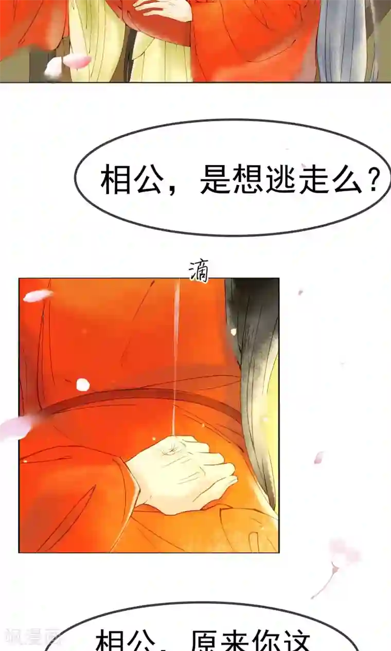 乌龟公主撩夫之路第3话 相公别跑！