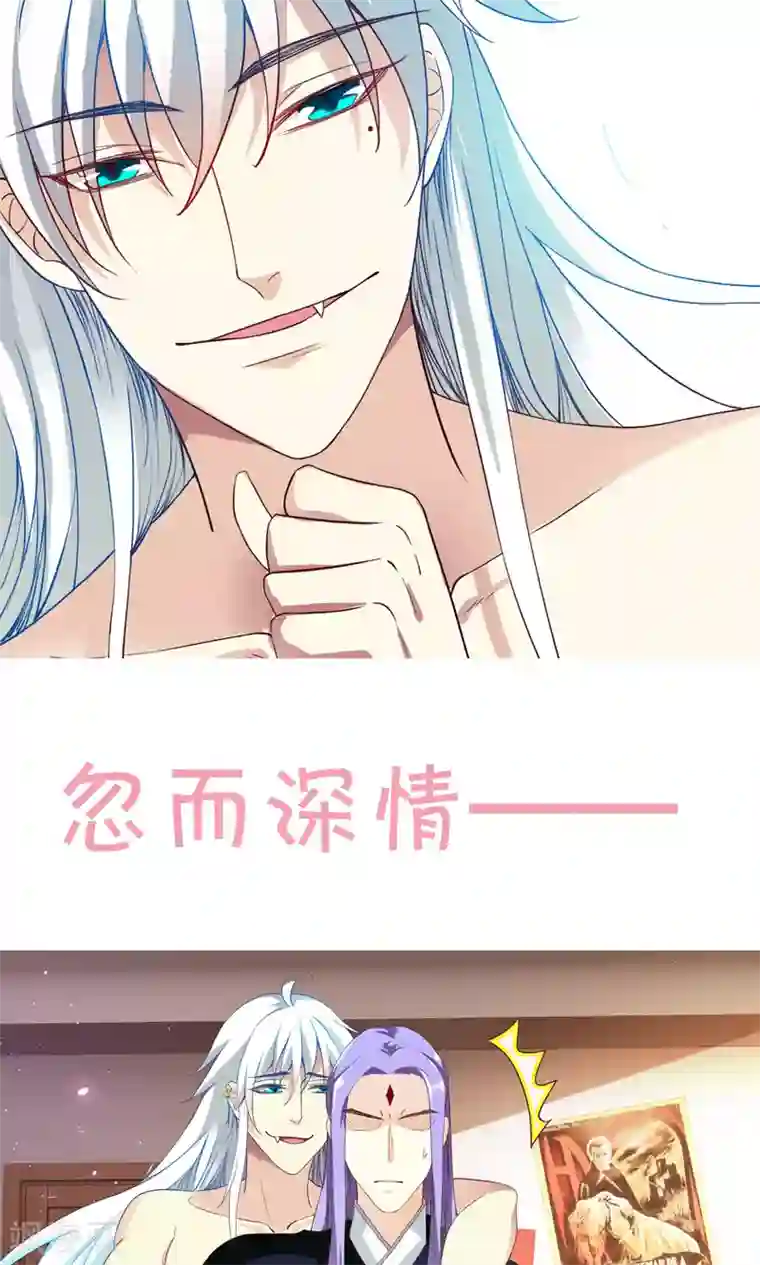 腹黑猫妖别卖萌预告