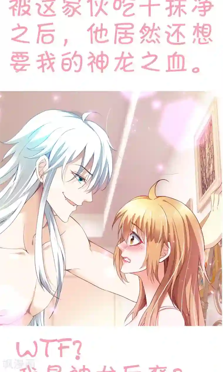 腹黑猫妖别卖萌预告