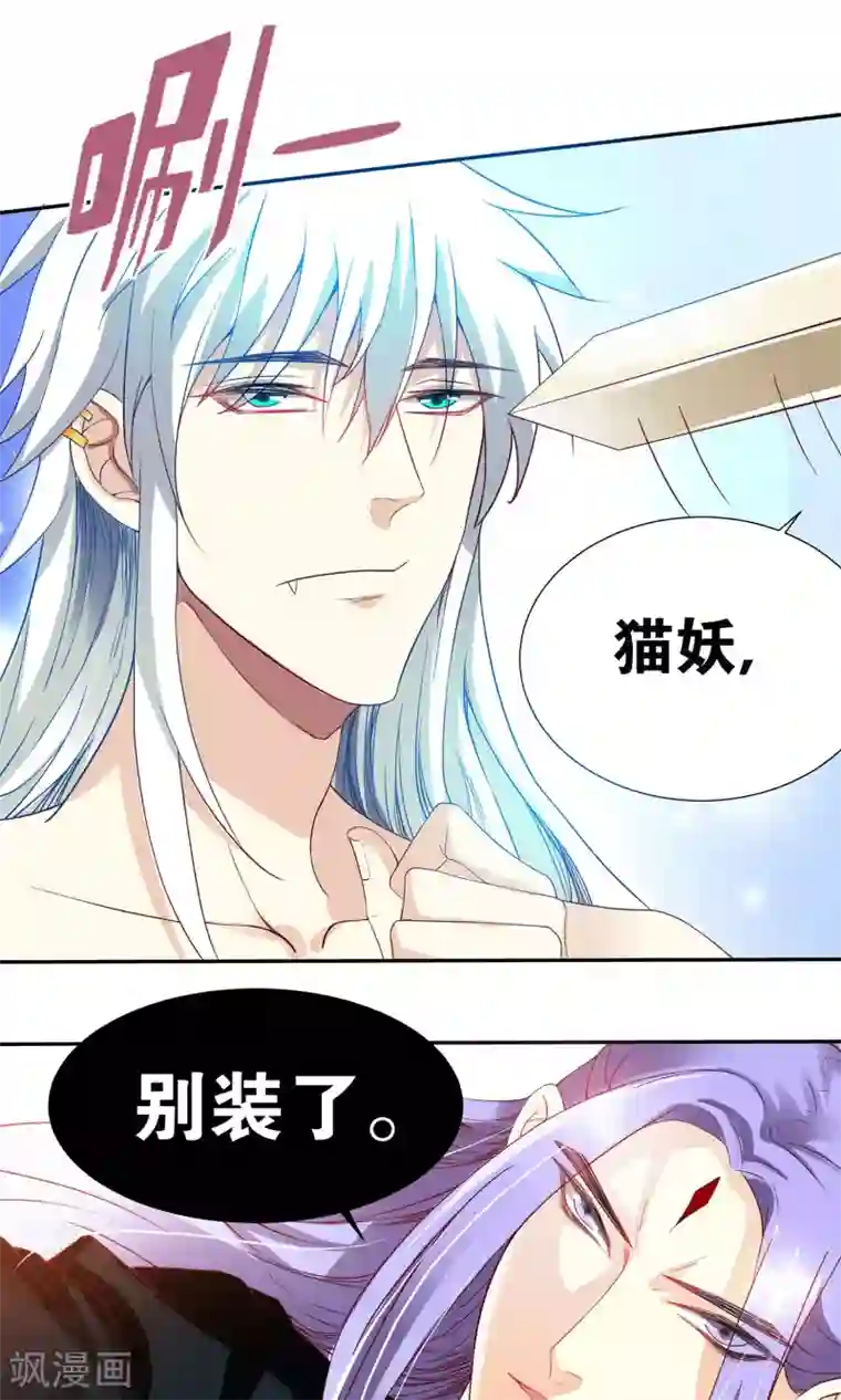 腹黑猫妖别卖萌第2话 宝贝别闹