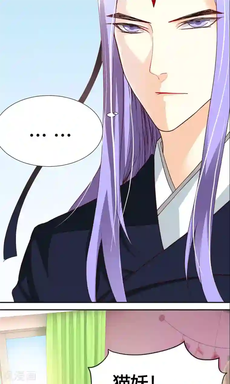 腹黑猫妖别卖萌第3话 他真的不是猫妖？