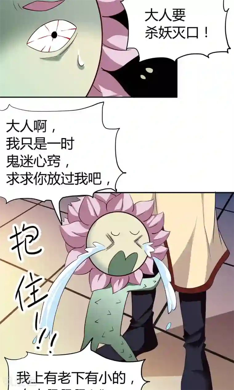 腹黑猫妖别卖萌第9话 菊花开满山头