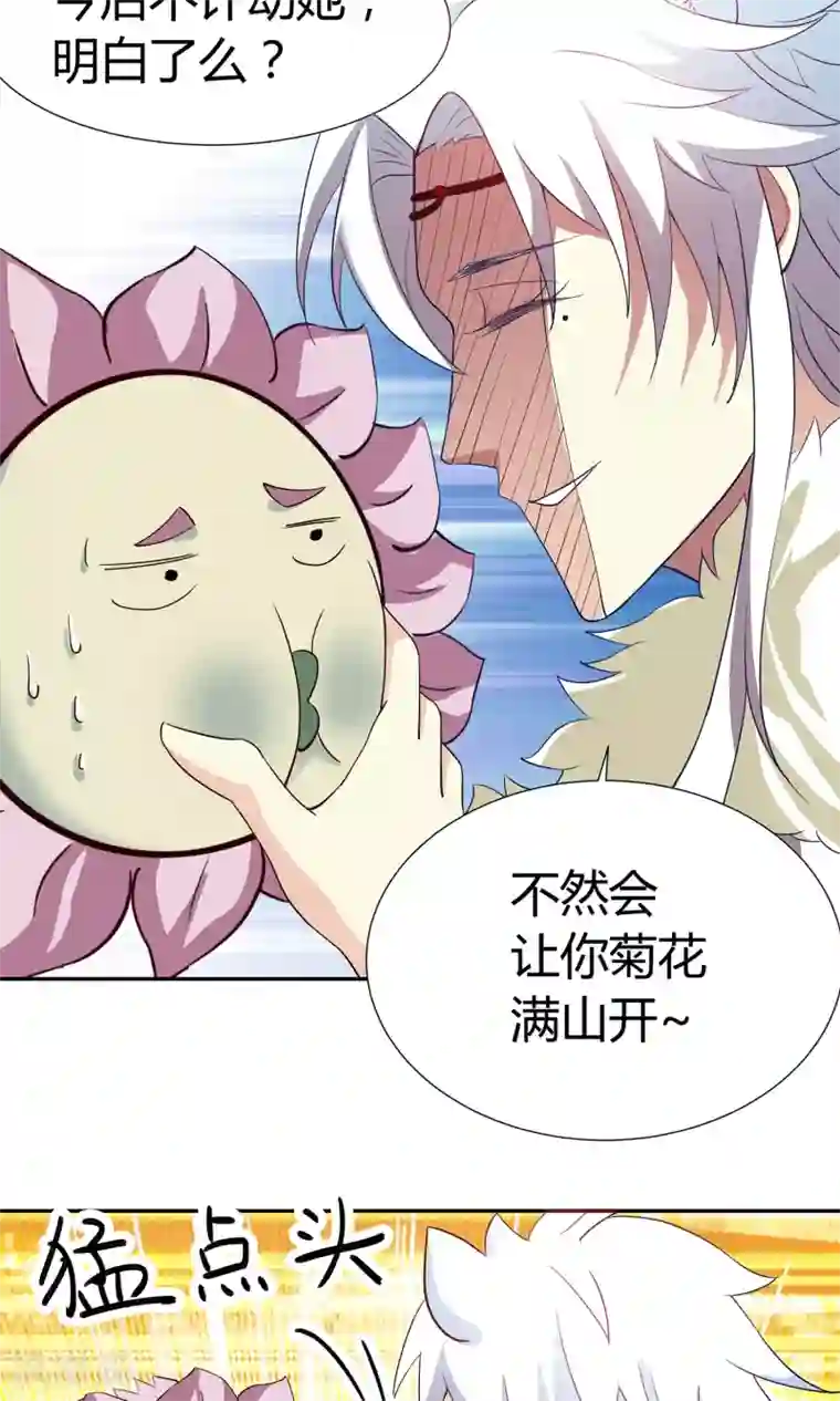 腹黑猫妖别卖萌第9话 菊花开满山头