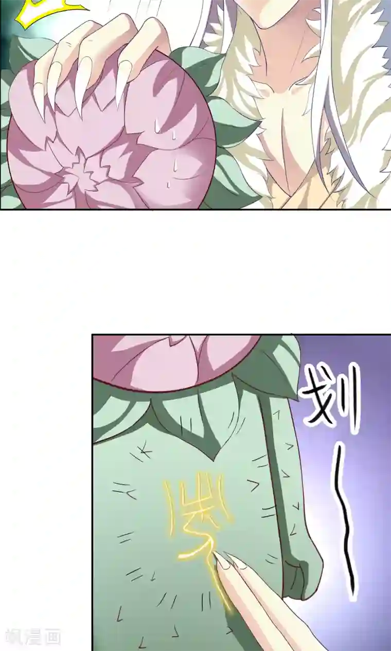 腹黑猫妖别卖萌第9话 菊花开满山头