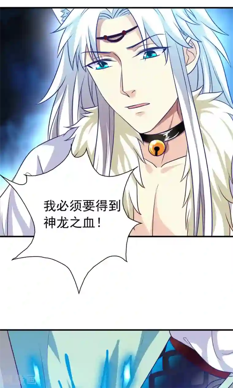 腹黑猫妖别卖萌第23话 对不起，我要你的神龙之血